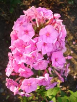 24.07.11 039.webp
