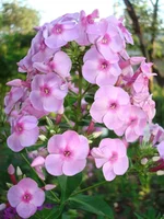 24.07.11 061.webp