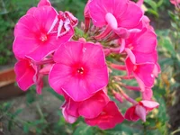 24.07.11 063.webp