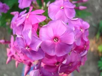 24.07.11 066.webp