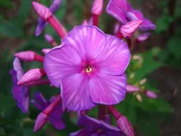 24.07.11 080.webp