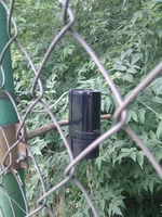 IMG_20110804_135358.jpg