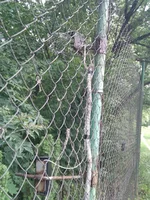 IMG_20110804_135421.jpg