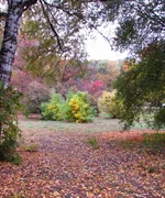 dfhg6e.webp