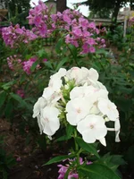 24.07.11 100.webp