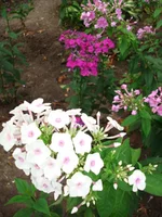 24.07.11 101.webp