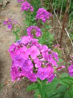 24.07.11 102.webp