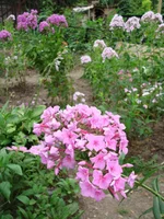 24.07.11 103.webp