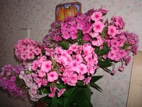24.07.11 115.webp