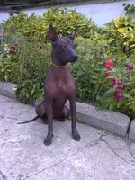0115_001.webp