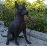 0168_001_001.webp