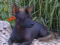 0128_001_001.webp