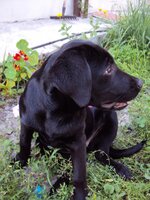 DSC01794.jpg