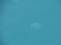 DSC01879.webp