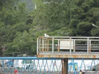 DSC01954.webp