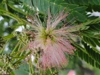 DSC01972.webp