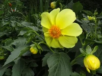 DSC02148.webp