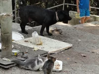 DSC02177.webp