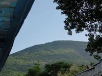 DSC02206.webp