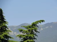DSC02329.webp