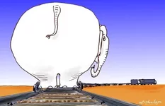 2005-02-26-Darwin-ralil-white-elephant-450.webp 2005-02-26-Darwin-ralil-white-elephant-450.webp