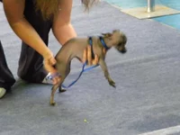 DSCN2290.webp