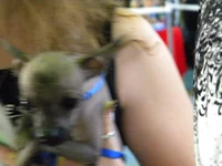 DSCN2291.webp