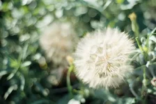 r001-018.webp