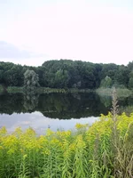 P8070363_1.webp