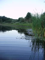 P8070347_1.webp