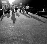 1O3H0289.webp