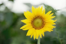 r001-005.webp