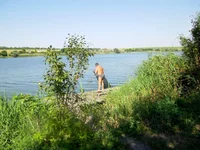 IMGP1000.webp