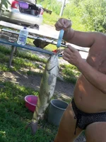 IMGP1004.webp