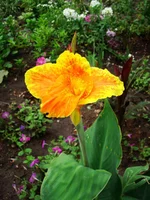 24.07.11 159.webp