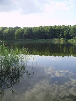 P8070334_1.webp