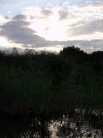 P8070341_1.webp