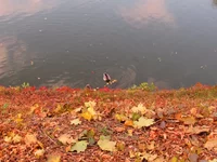 d3ddhg.webp