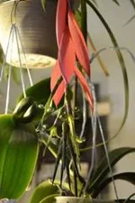 egh4ec.webp