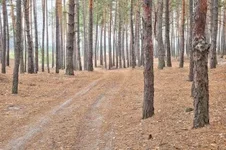 8gbhde.webp