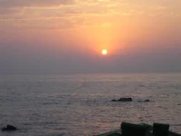 DSC07952.webp