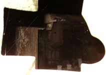  DSC01313.webp
