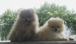 SAM_2440.webp