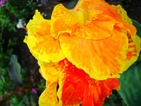 24.07.11 168.webp