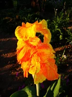 24.07.11 178.webp