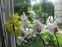 IMG_0078.jpg