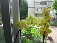 IMG_0079.jpg