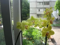 IMG_0079.webp