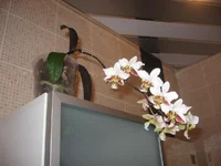 IMG_0040.webp