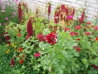 P1010044.webp